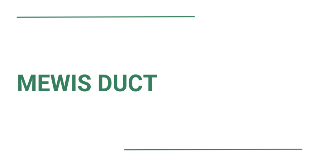 BALTIC-FIT Technical measures